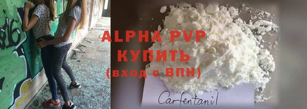 дживик Бронницы