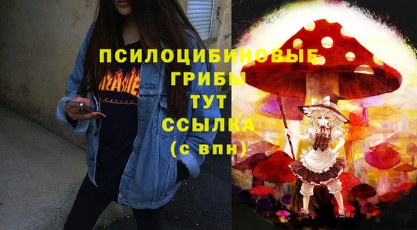 наркотики Бородино