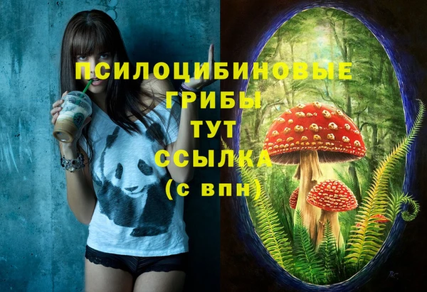 прущие грибы Верея