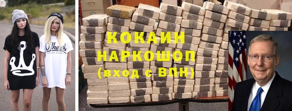 дживик Бронницы