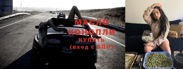 дживик Бронницы